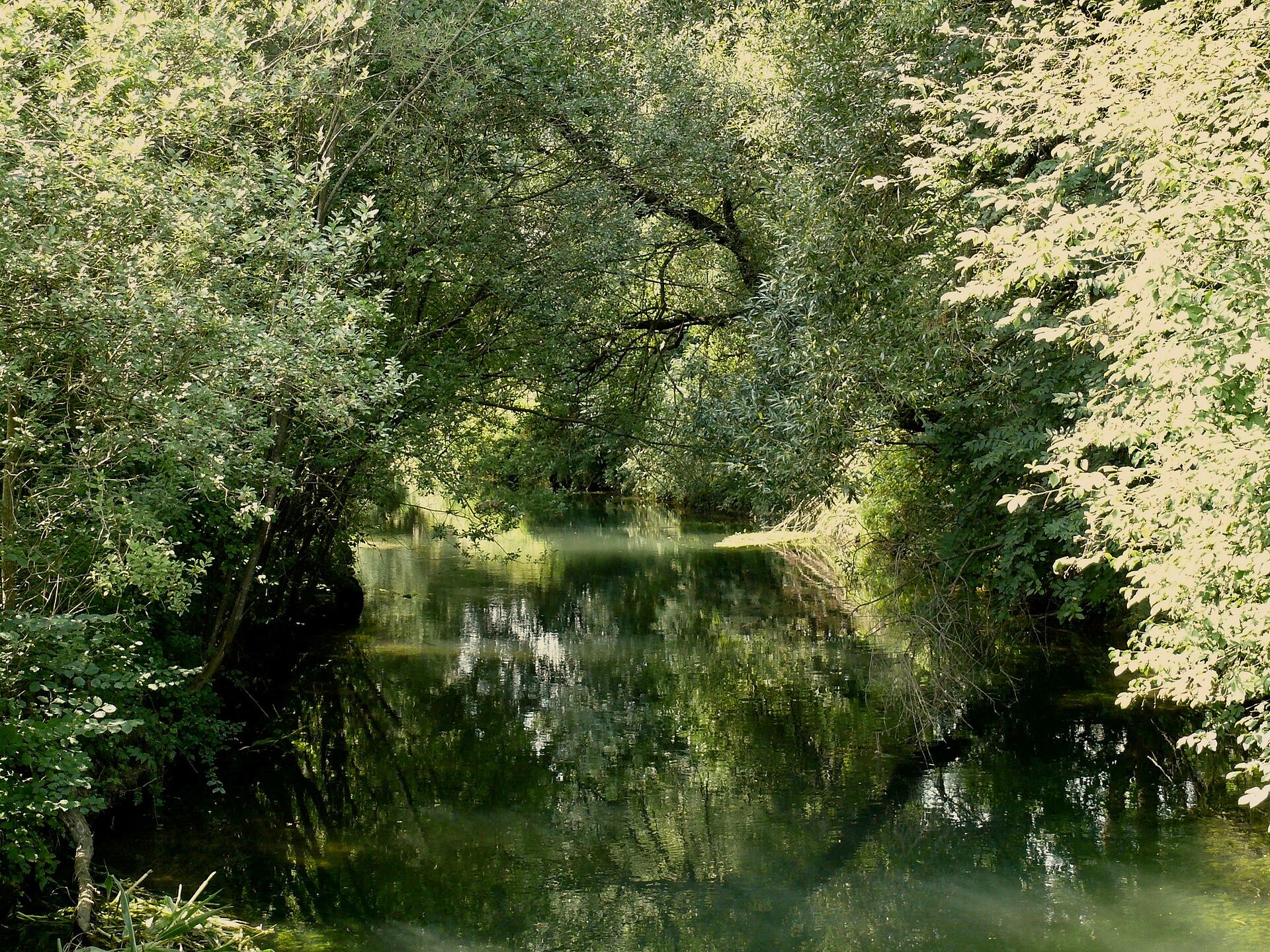 Ag Gew Sser Bund Naturschutz In Bayern E V