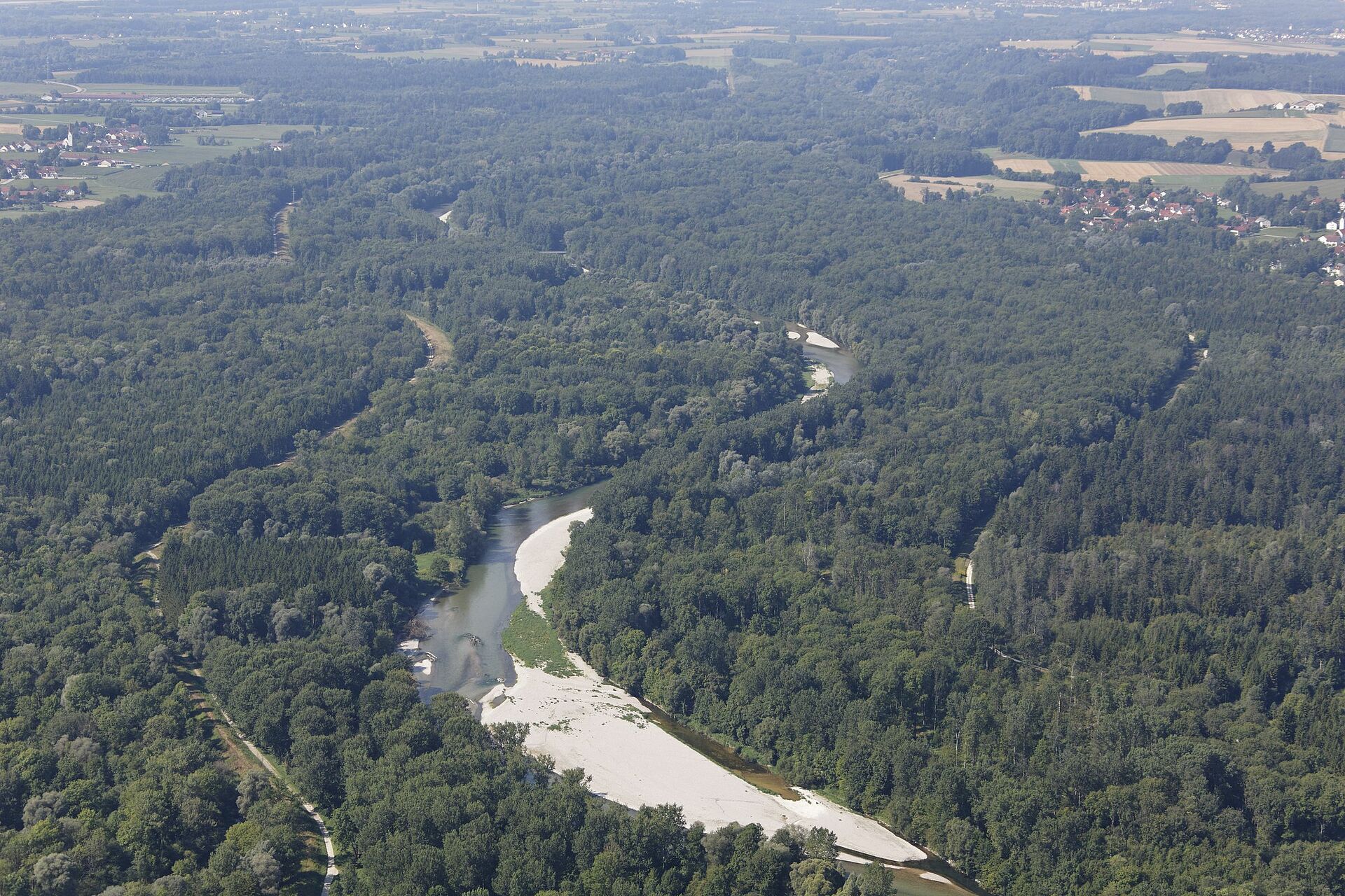 Isarauwald 2400 Hektar zurück zur Natur! BUND Naturschutz in Bayern e.V. Isarauwald 2400 Hektar zurück zur Natur! BUND Naturschutz in Bayern e.V.
