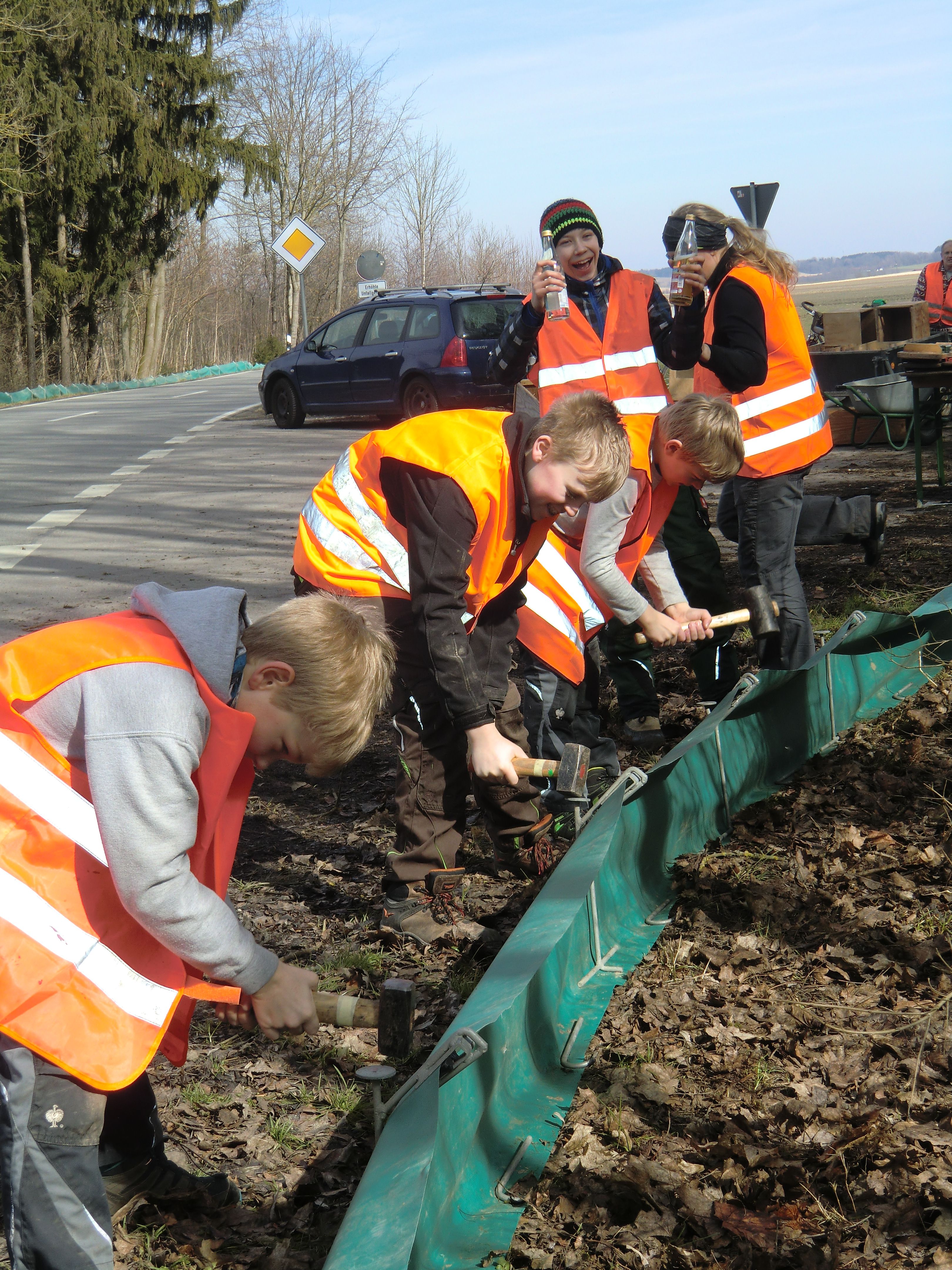 Kinder helfen beim Aufbau eines Krötenschutzzauns